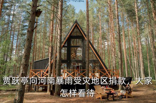 賈躍亭向河南暴雨受災地區捐款，大家怎樣看待