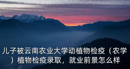 河南農大的動植物檢疫怎么樣,就業前景怎么樣