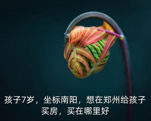 孩子7歲，坐標(biāo)南陽，想在鄭州給孩子買房，買在哪里好