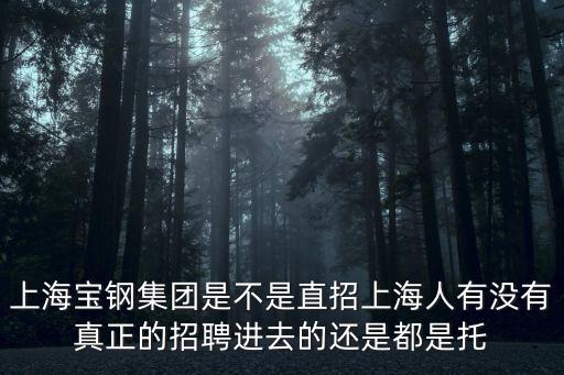 上海寶鋼集團公司，寶鋼集團有限公司是哪個城市的