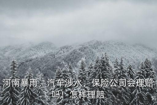 河南暴雨，汽車涉水，保險公司會理賠嗎！怎樣理賠