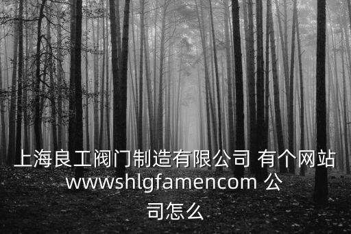 上海良工閥門制造有限公司 有個網站wwwshlgfamencom 公司怎么