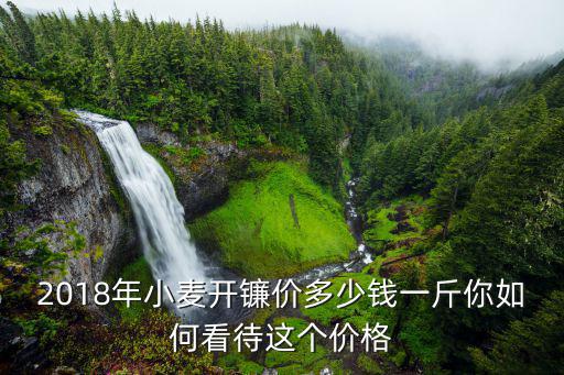 南陽小麥價是多少錢一斤,南陽小麥價格要3.6元一斤
