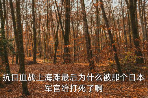 抗日血戰上海灘最后為什么被那個日本軍官給打死了啊