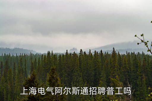 上海電氣阿爾斯通招聘普工嗎