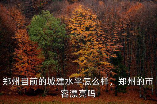 鄭州金水區的城管怎么樣,鄭州金水區停管中心