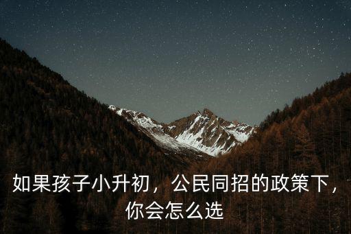 如果孩子小升初，公民同招的政策下，你會怎么選