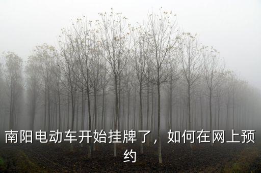 南陽(yáng)市電動(dòng)車在哪里掛牌,南陽(yáng)市電動(dòng)車怎么上牌