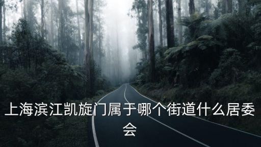 上海濱江凱旋門屬于哪個街道什么居委會
