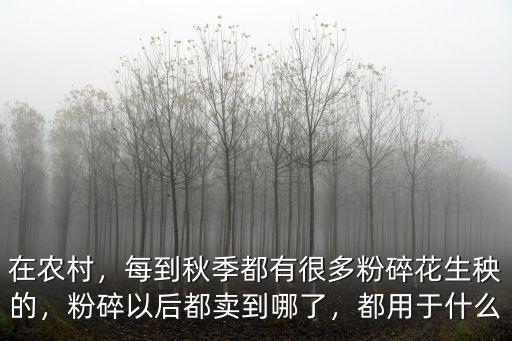 在農村，每到秋季都有很多粉碎花生秧的，粉碎以后都賣到哪了，都用于什么