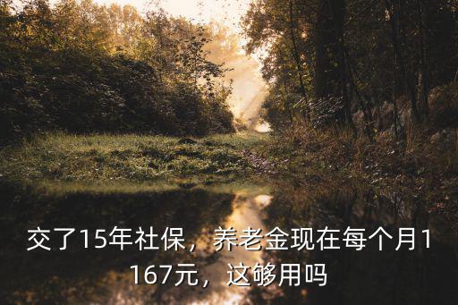 在周口繳納15年社保退休金多少,交了15年社保