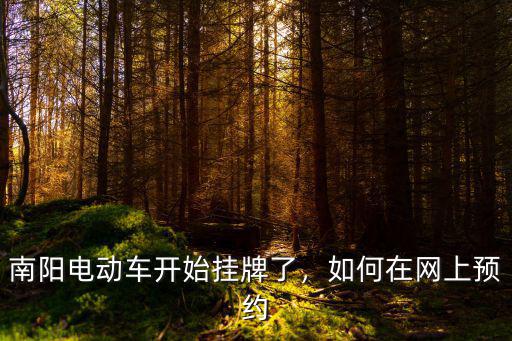 南陽三五電動車怎么掛牌,南陽電動車開始掛牌了
