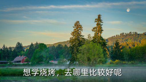 新鄉(xiāng)想學(xué)燒烤去哪里好,去哪里學(xué)燒烤比較好
