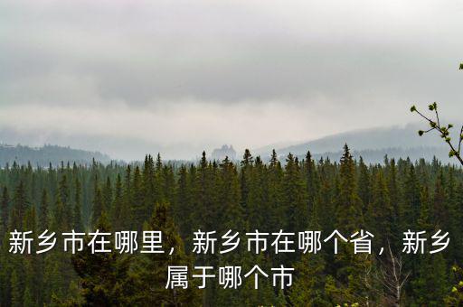新鄉(xiāng)牧野在哪里,新鄉(xiāng)市在哪里