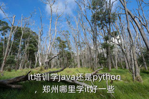 it培訓(xùn)學(xué)java還是python，鄭州哪里學(xué)it好一些