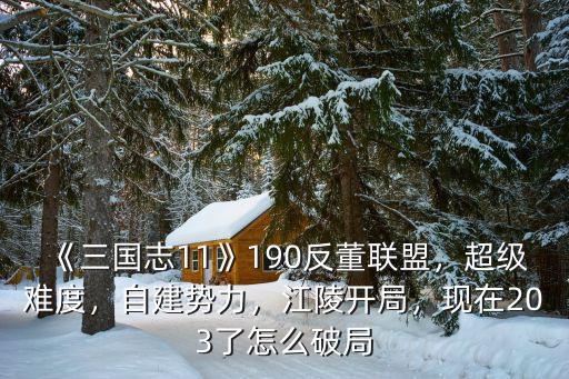 《三國志11》190反董聯(lián)盟，超級難度，自建勢力，江陵開局，現(xiàn)在203了怎么破局