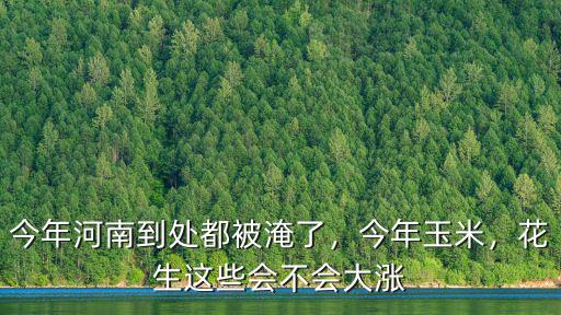 今年河南到處都被淹了，今年玉米，花生這些會不會大漲