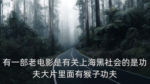 電影大上海，電影大上海 林壞用的那把刀是什么啊 好帥啊叫什么淘寶