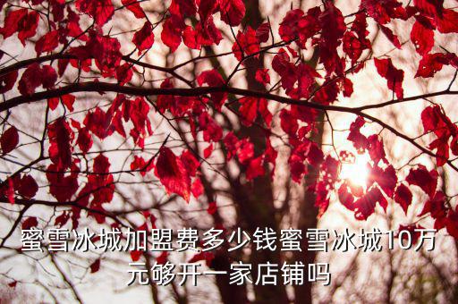 開封學習蜜雪冰城多少錢,開家蜜雪冰城多少錢