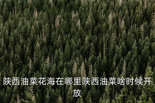 南陽油菜花在哪里,陜西油菜花海在哪里