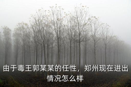 由于毒王郭某某的任性，鄭州現在進出情況怎么樣