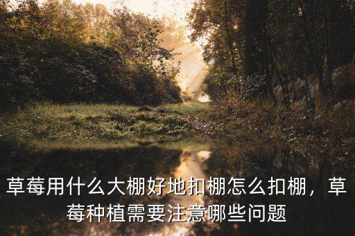 草莓用什么大棚好地扣棚怎么扣棚，草莓種植需要注意哪些問題