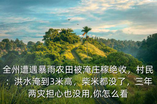 全州遭遇暴雨農(nóng)田被淹莊稼絕收，村民：洪水淹到3米高，柴米都沒(méi)了，三年兩災(zāi)擔(dān)心也沒(méi)用,你怎么看