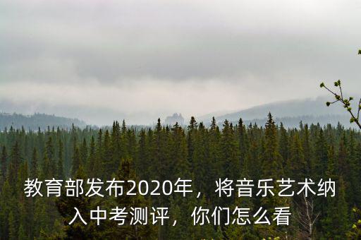 教育部發布2020年，將音樂藝術納入中考測評，你們怎么看