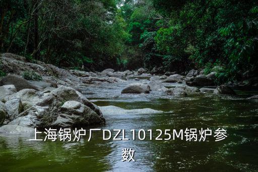 上海鍋爐廠DZL10125M鍋爐參數