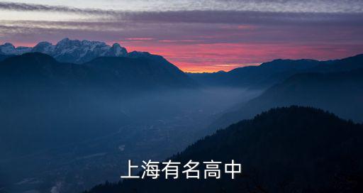 上海高中學校，上海有名高中