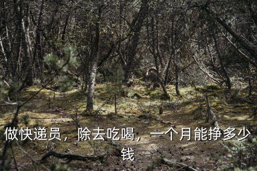 做快遞員，除去吃喝，一個(gè)月能掙多少錢