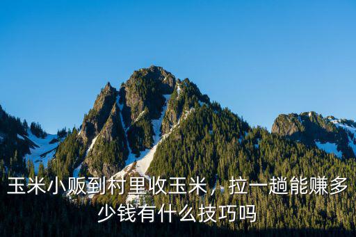 三門峽哪里有賣收玉米的,為什么收玉米粒的很少