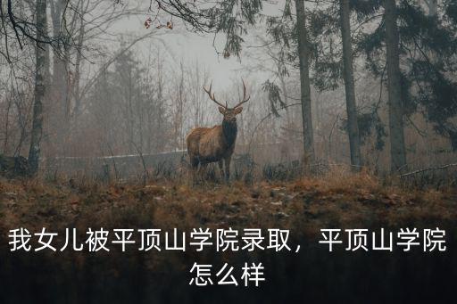 我女兒被平頂山學(xué)院錄取，平頂山學(xué)院怎么樣