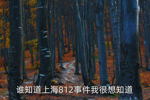 誰知道上海812事件我很想知道
