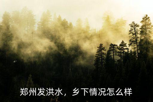 鄭州發(fā)洪水，鄉(xiāng)下情況怎么樣