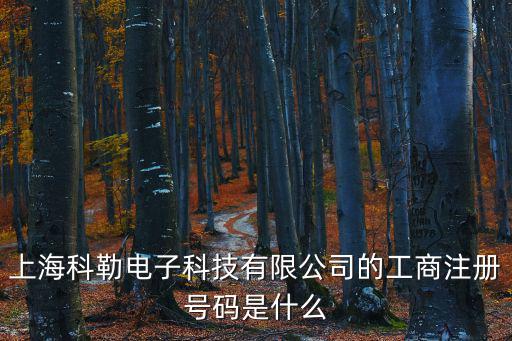 上海科勒電子科技有限公司的工商注冊號碼是什么