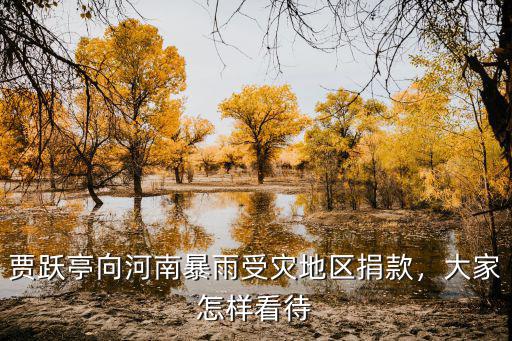 賈躍亭向河南暴雨受災地區捐款，大家怎樣看待