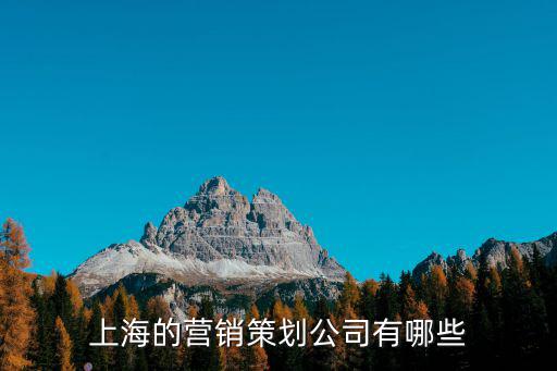 上海策劃公司，上海全年活動策劃公司哪個好啊有大蝦幫忙么