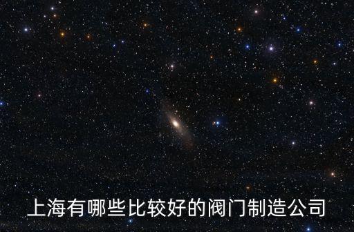 上海有哪些比較好的閥門制造公司