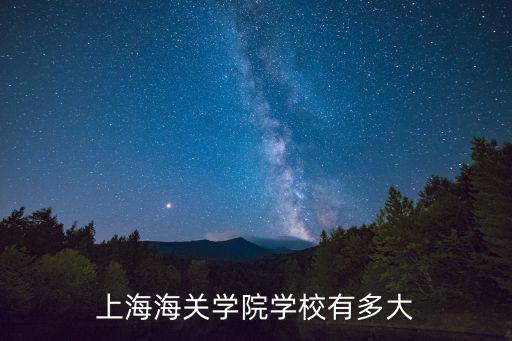 上海海關學院學校有多大