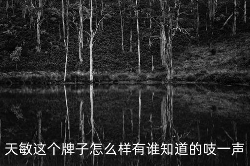天敏這個牌子怎么樣有誰知道的吱一聲