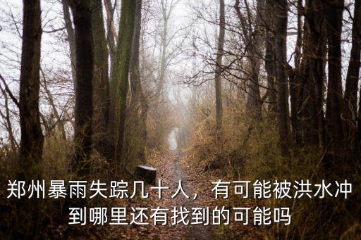 鄭州暴雨失蹤幾十人，有可能被洪水沖到哪里還有找到的可能嗎