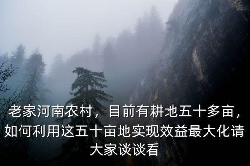 老家河南農(nóng)村，目前有耕地五十多畝，如何利用這五十畝地實現(xiàn)效益最大化請大家談談看