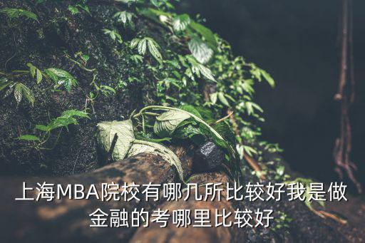 上海MBA院校有哪幾所比較好我是做金融的考哪里比較好