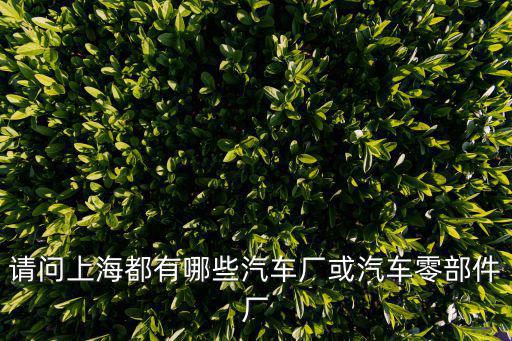 上海汽車廠，請問上海都有哪些汽車廠或汽車零部件廠