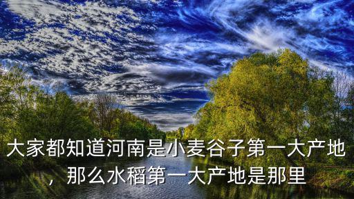 大家都知道河南是小麥谷子第一大產地，那么水稻第一大產地是那里
