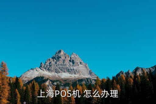 上海POS機 怎么辦理