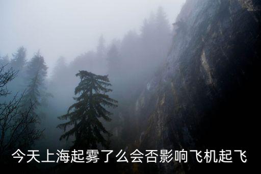 今天上海起霧了么會否影響飛機(jī)起飛