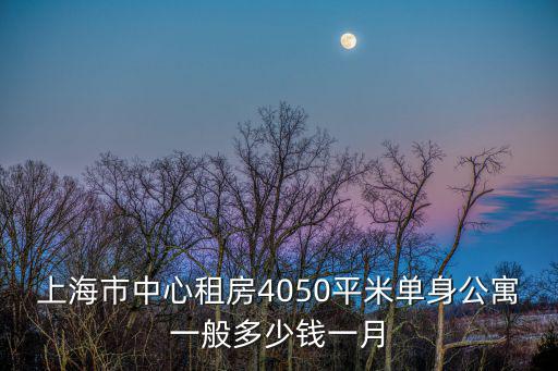 上海市中心租房4050平米單身公寓一般多少錢一月