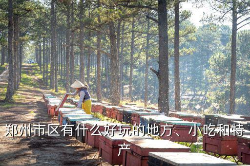 2月份鄭州哪里好玩的地方,鄭州市區有什么好玩的地方